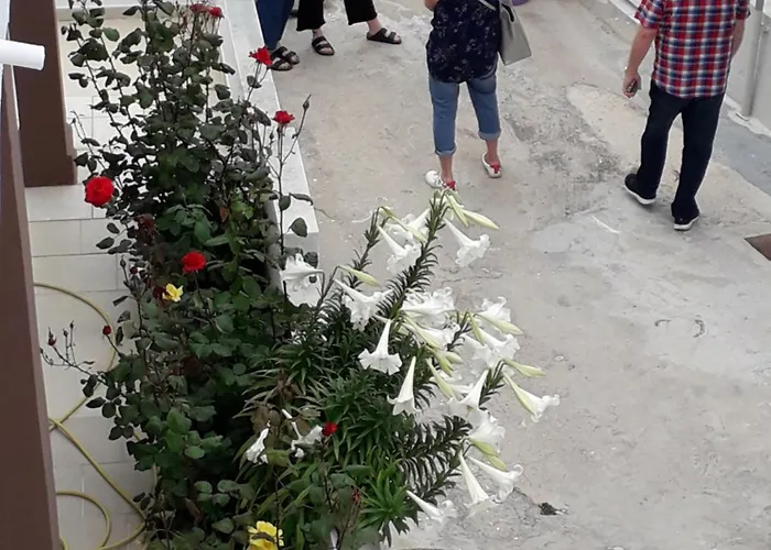 Mastichari Nektaria Studio Apartamento