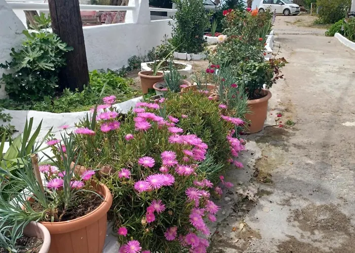 Mastichari Nektaria Studio * Mastichari (Kos)