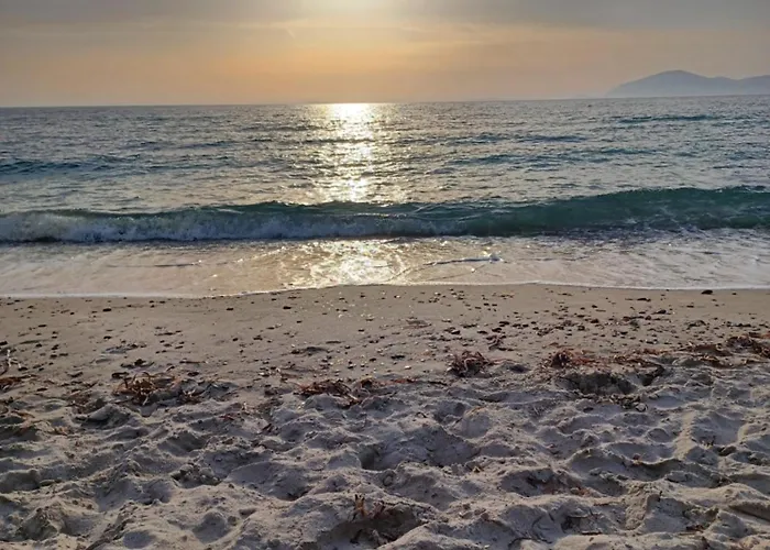 Mastichari Nektaria Studio Mastichari (Kos)