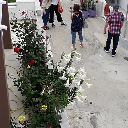 Mastichari Nektaria Studio Apartment