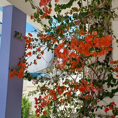 Mastichari Nektaria Studio Apartment