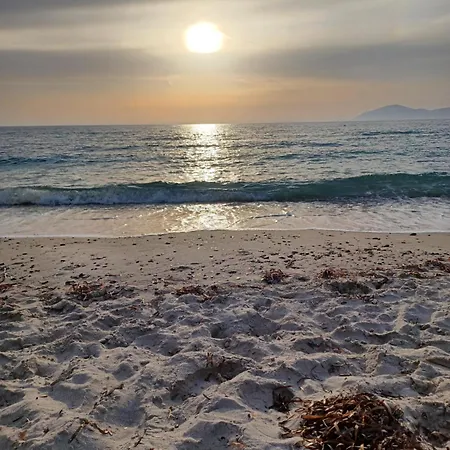 Mastichari Nektaria Studio Mastichari (Kos)