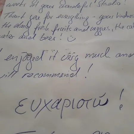 Mastichari Nektaria Studio Apartment