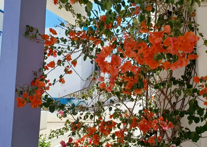 Mastichari Nektaria Studio شقة